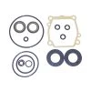 SIERRA 18-8381 Lower Unit Seal Kit for Suzuki Outboard Motors -Drive Train Parts sale 10525228 LRG