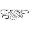 SIERRA 18-2672 Lower Unit Seal Kit for OMC Sterndrive/Cobra Stern Drives -Drive Train Parts sale 1654748 LRG